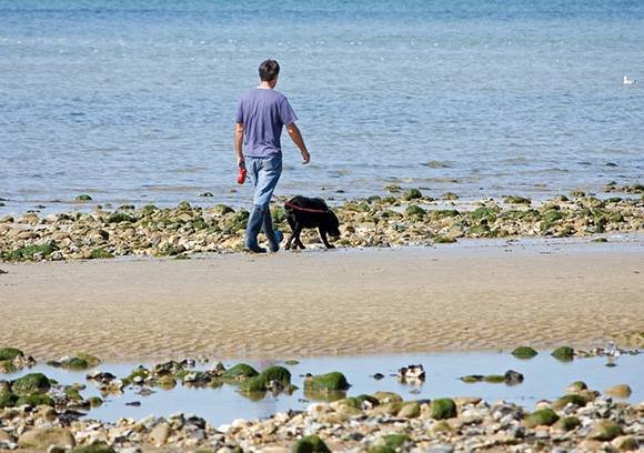 Viaja en AVE a las mejores playas en las que puede estar tu perro